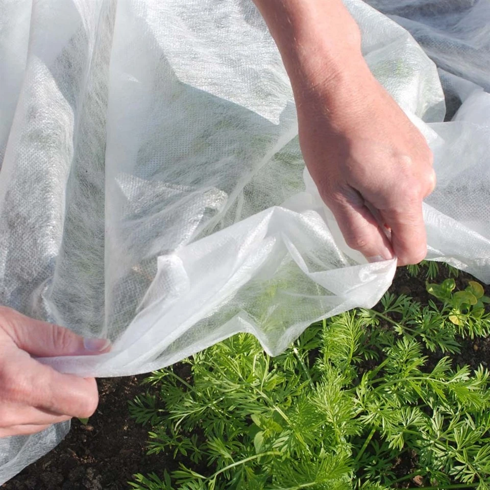 Non Woven Plant Blanket