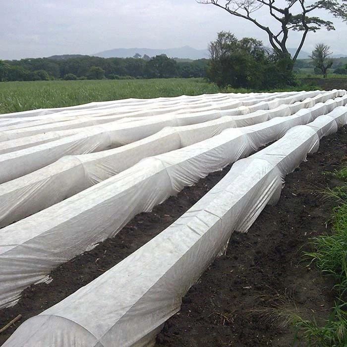 Selimut Tanaman Non Woven